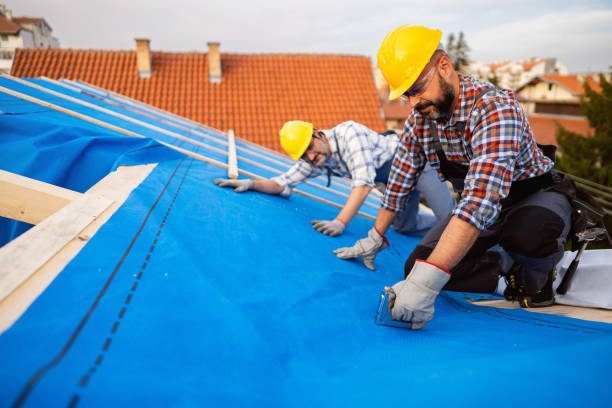 Best Solar Panel Roofing Installation  in Cottonde, AL